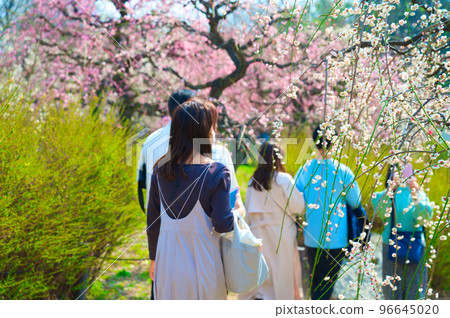 【大阪府】3月來大阪城公園賞梅的遊客 96645020