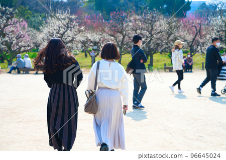 [Osaka Prefecture] Tourists visiting Osaka Castle Park to see plum blossoms in March 96645024