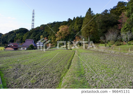 農村風景在秋天 農村風景在秋天 96645131