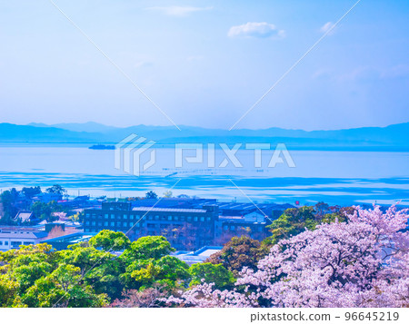 Lake Biwa and cherry blossoms seen from Hikone Castle Lake Biwa and cherry blossoms seen from Hikone Castle 96645219