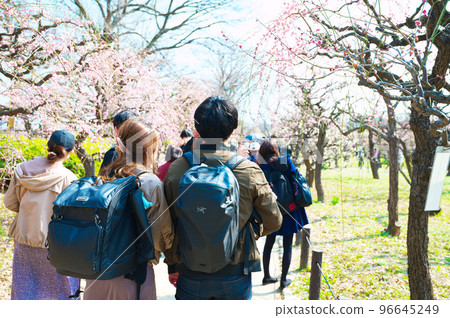 [Osaka Prefecture] Tourists visiting Osaka Castle Park to see plum blossoms in March 96645249