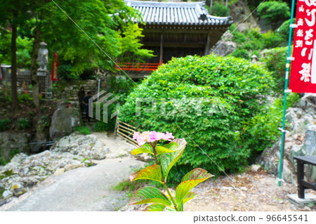 [Setouchi 33 Kannon Site] No. 10 Fussa Temple 西鳳院紫陽花和Bentendo 3 岡山縣備前市 96645541