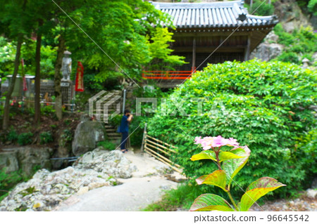 [瀨戶內三十三觀音聖地] 岡山縣備前市10號福生寺紫陽花和辨天堂4 96645542