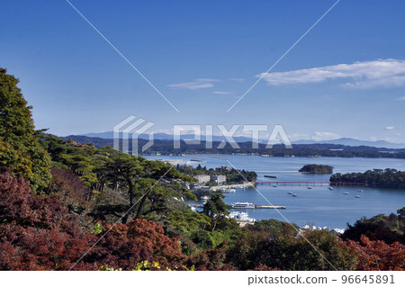 22026 松島西行之都鬆公園至松島灣紅葉 22026 松島西行之都鬆公園至松島灣紅葉 96645891