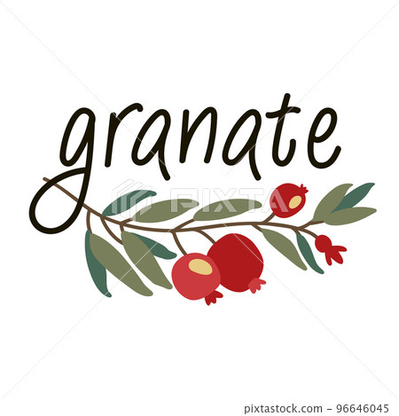 Pomegranate logo. Granate emblem. Vector garnet. 96646045