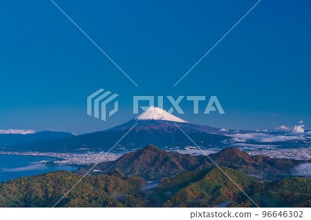 （靜岡縣）黎明前從伊豆山脈飄浮在城市燈光中的富士山 96646302