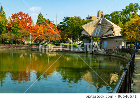 大阪市旭區城北公園的秋葉 大阪市旭區城北公園的秋葉 96646671