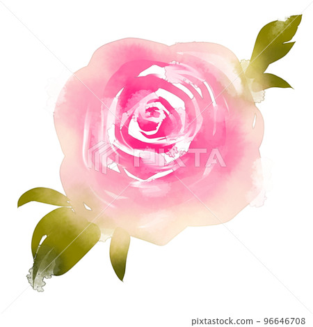 watercolor rose 96646708