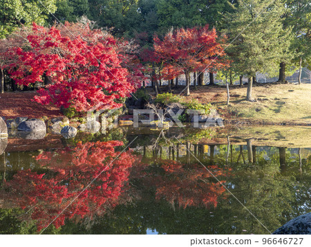 奈良公園 Sanja Takusenike 池塘的秋葉 96646727