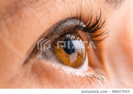 Close up of brown eye with painted eyelashes. Close up of brown eye with painted eyelashes. 96647043