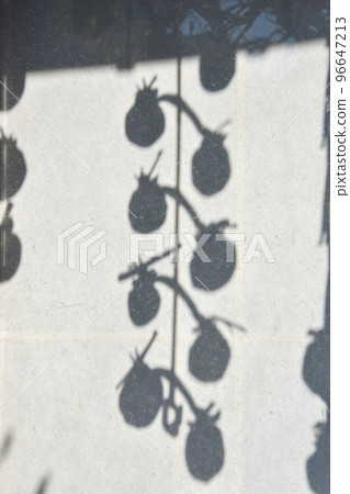 Japanese autumn scenery Shadows of hanging dried persimmons Japanese autumn scenery Shadows of hanging dried persimmons 96647213