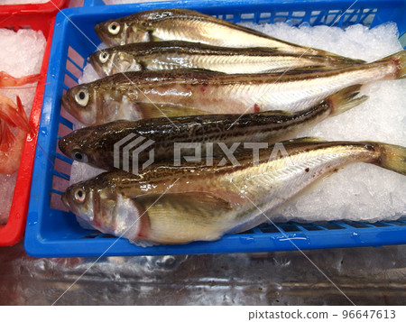 沙魚海鮮市場魚配料新鮮 96647613