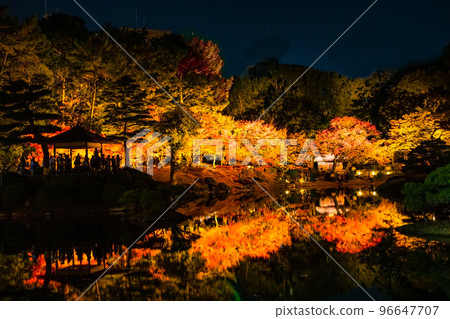 Please take a look at the illuminated autumn leaves of Shukkeien, a national scenic spot. This is a garden associated with the lord of Hiroshima Asano and Soko Ueda. Hiroshima 96647707