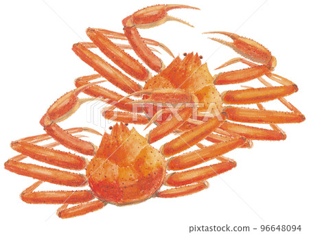 雪蟹所以蟹 雪蟹所以蟹 96648094