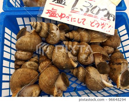 白餌、鄂楚白、貝類、海鮮市場、新鮮食材 白餌、鄂楚白、貝類、海鮮市場、新鮮食材 96648294