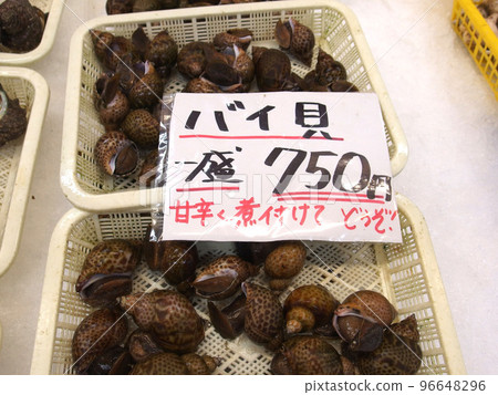白蓋海螺貝類原料生鮮海鮮市場 96648296