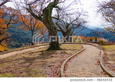 Mount Wakakusa Summit, Nara Prefecture Mount Wakakusa Summit, Nara Prefecture 96648438