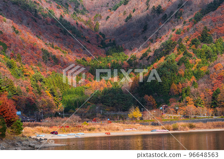 Autumn leaves of Shoji Lake 96648563
