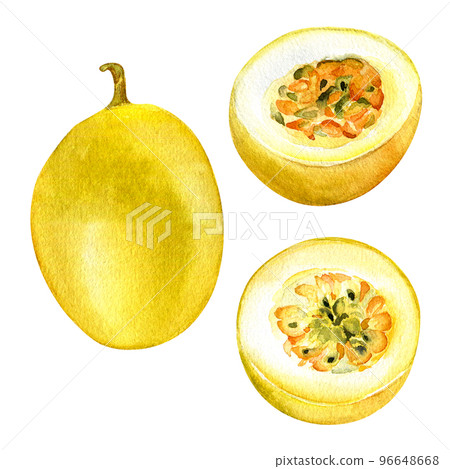 Set of passion fruits watercolor illustration isolated on white background. Set of passion fruits watercolor illustration isolated on white background. 96648668