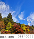 Autumn leaves and clouds flowing in the blue sky 96649044
