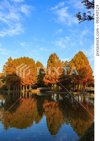 秋天自然公園 秋天自然公園 96649524