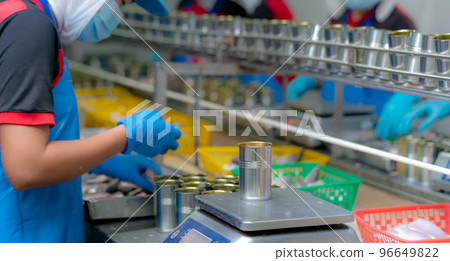 Worker working in canned food factory. Food industry. Canned fish factory. Workers weighing sardines in cans on a weight scale. Worker in food processing production line. Food manufacturing industry. 96649822