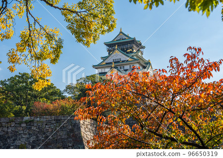 [紅葉]秋天的大阪城公園[大阪城天守閣] 96650319