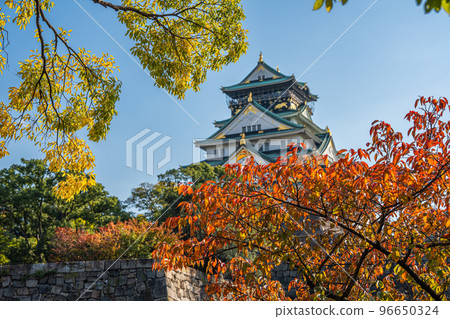 [紅葉]秋天的大阪城公園[大阪城天守閣] 96650324