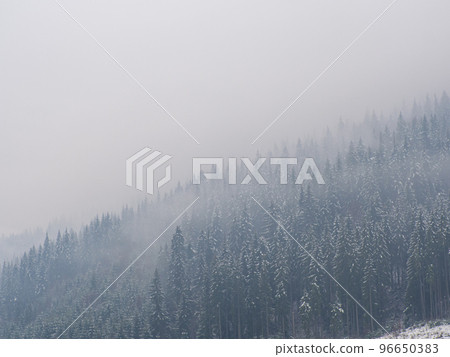 Winter lake and forest in the Carpathians 96650383