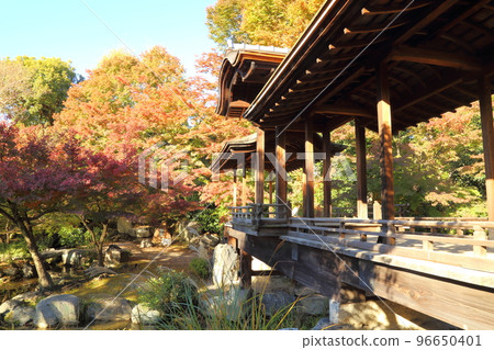 National Place of Scenic Beauty Shosei-en Garden (Kikoku-tei) Enclave / Enclave precincts of Higashi Honganji Temple [Shimogyo Ward, Kyoto City] 96650401