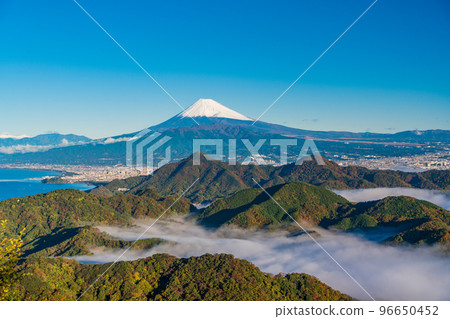 (靜岡縣)深秋從伊豆山脈漂浮在雲海中的富士山 (靜岡縣)深秋從伊豆山脈漂浮在雲海中的富士山 96650452