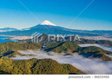 [Shizuoka Prefecture] Mt. Fuji floating in the sea of clouds in the Numazu Alps 96650460