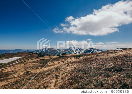 A close up of a dry grass field A close up of a dry grass field 96650586
