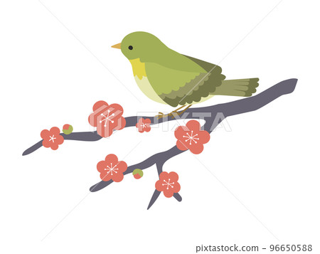 棲息在李樹上的夜鶯 96650588