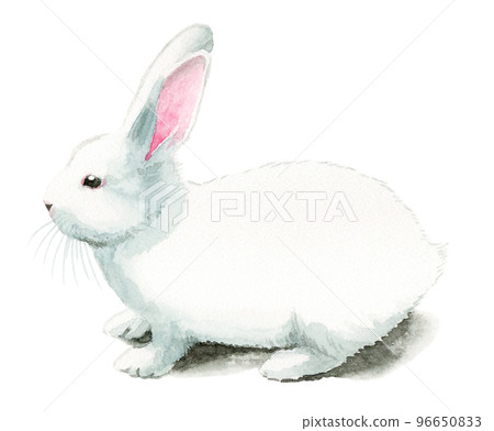analog watercolor white rabbit analog watercolor white rabbit 96650833