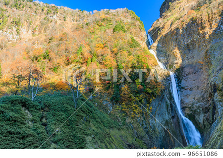 Shomyo Falls in Autumn Tateyama Town, Toyama Prefecture 96651086