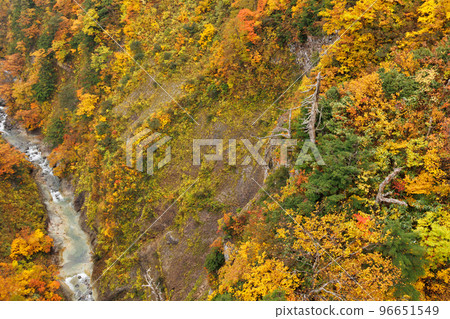 Jogakura Valley with autumn leaves at its peak (Aomori City, Aomori Prefecture) Jogakura Valley with autumn leaves at its peak (Aomori City, Aomori Prefecture) 96651549