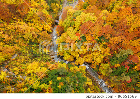 城倉溪谷(青森縣青森市)秋葉特寫 城倉溪谷(青森縣青森市)秋葉特寫 96651569