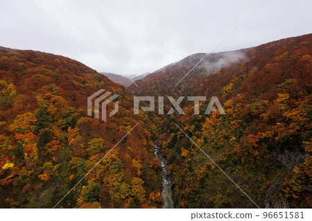 Jogakura Valley (Aomori City, Aomori Prefecture) at the best time to see autumn leaves 96651581