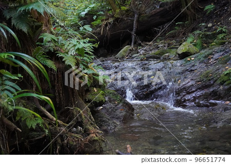 Beautiful greenery and water flow 2 Beautiful greenery and water flow 2 96651774
