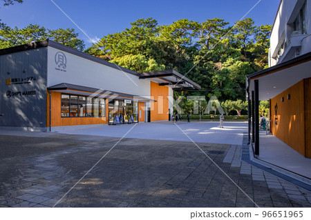 Katsurahama 96651965