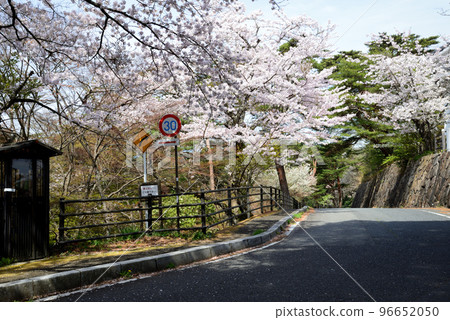 我們去了中古曾關公園#27 96652050