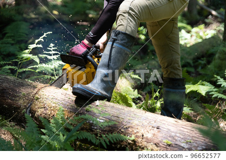 felling with a chainsaw 96652577