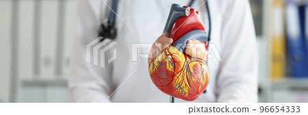 Plastic heart model in hospital, check up your heart, professional diagnostic 96654333