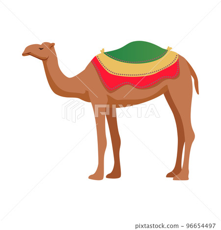 Travel UAE Camel Composition 96654497