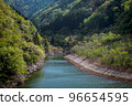 大壩湖的風景與美麗的新鮮綠色植物 96654595