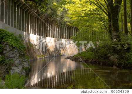A forest with beautiful fresh greenery and a snow shelter that protects against falling rocks and snow A forest with beautiful fresh greenery and a snow shelter that protects against falling rocks and snow 96654599