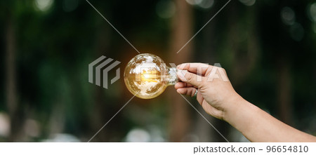 Hand holding light bulb on grass with solar energy and green background. power eco concept. 96654810