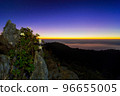 Rhododendron on the viewpoint in the morning Doi Luang Chiang Dao Chiang Mai Province. 96655005