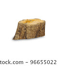 Teak stump isolated on white background with clipping path, The stump of a teak tree that has been cut short. 96655022